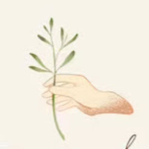 Meet your Posher, Alana